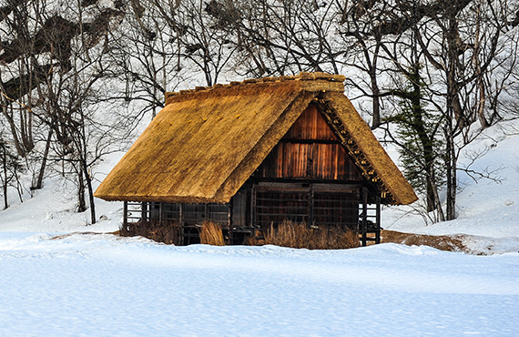 Isolatie rieten dak