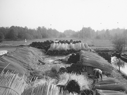 Rietdekker Raggers